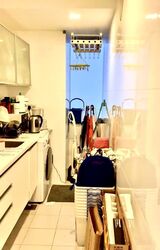 One Amber (D15), Condominium #575839351